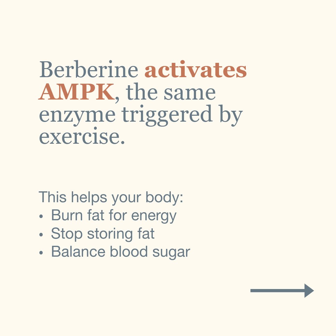 berberine activates ampk in thyroid patients berberine activates ampk in thyroid patients