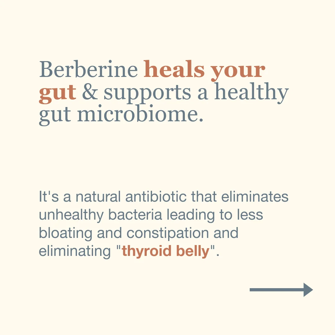 berberine heals thyroid related gut problems berberine heals thyroid related gut problems