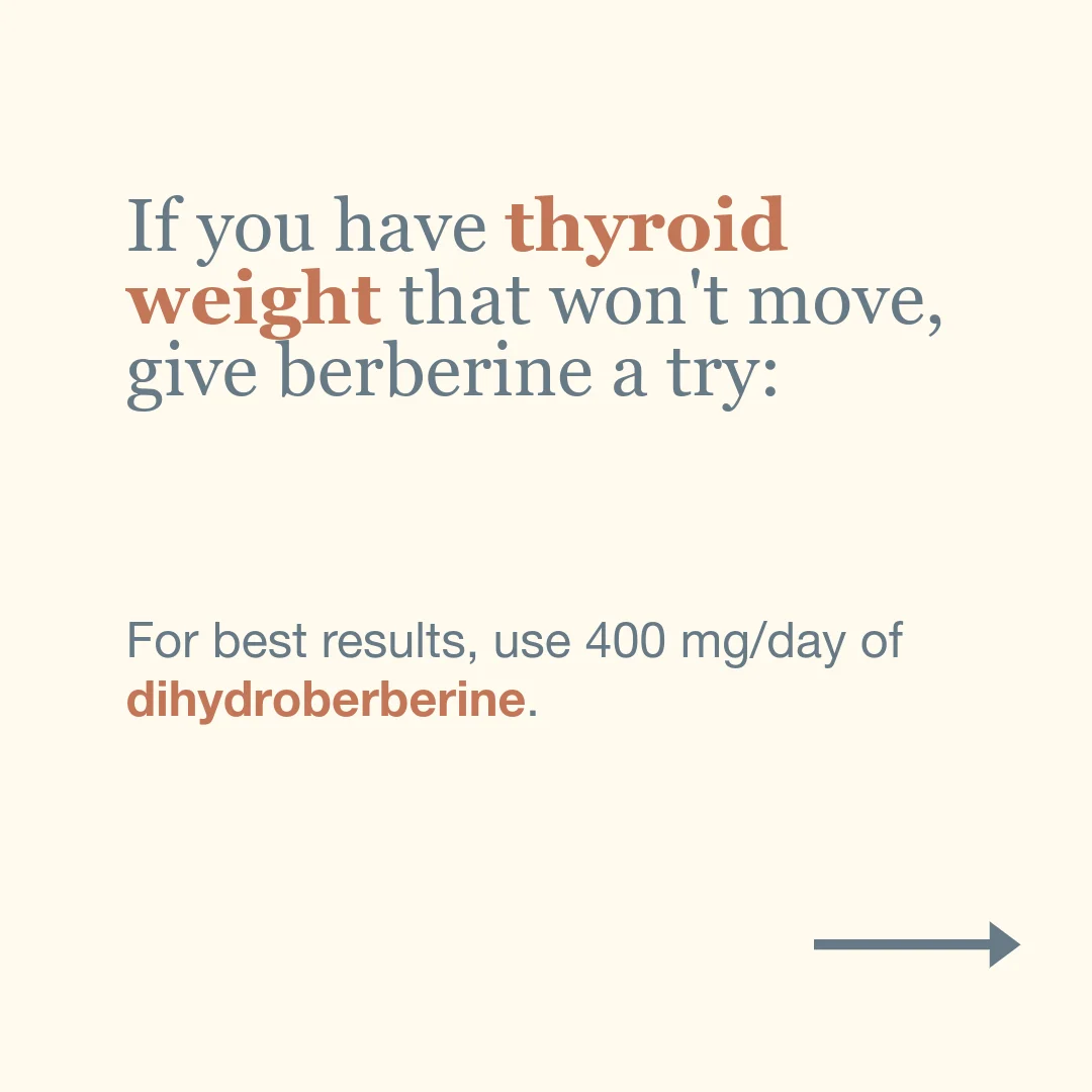 use dihydroberberine if you have thyroid problems use dihydroberberine if you have thyroid problems