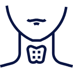 hypothyroidism support supplements for men and women