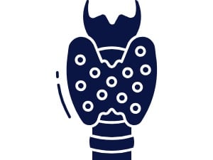 Complete desiccated thyroid glandular support with natural bovine thyroid extract for hormone balance Complete desiccated thyroid glandular support with natural bovine thyroid extract for hormone balance