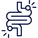 thyroid and gut health supplements to relieve bloating, constipation, and slow digestion thyroid and gut health supplements to relieve bloating, constipation, and slow digestion