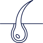 thyroid hair growth vitamins for women with hair loss from low thyroid or Hashimoto’s thyroid hair growth vitamins for women with hair loss from low thyroid or Hashimoto’s