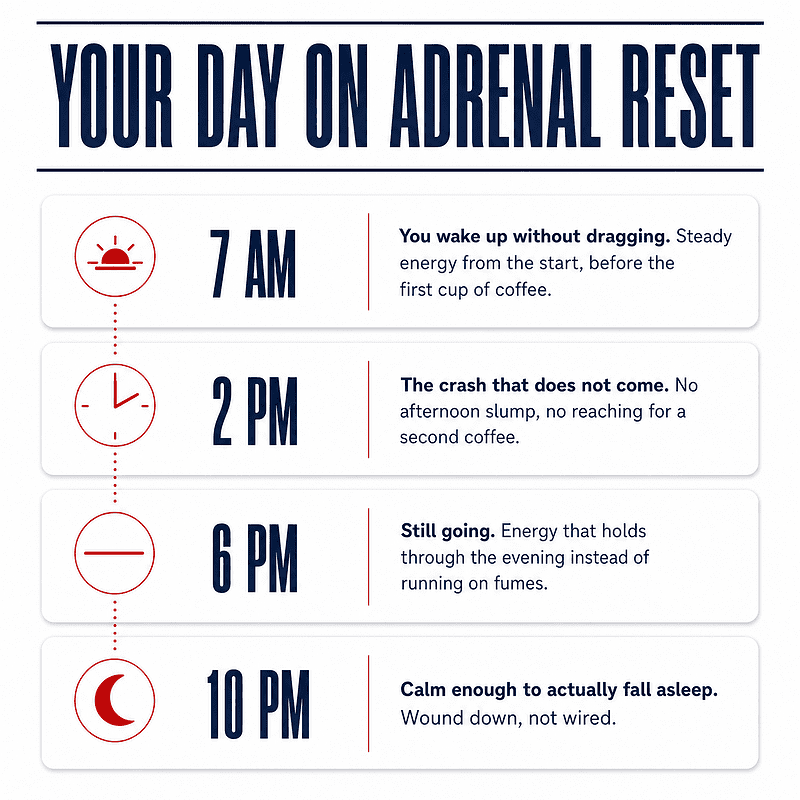 Timeline of a day using Thyroid Adrenal Reset Complex with steady morning energy, no 2 pm crash, energy through the evening, and calm restful sleep at night