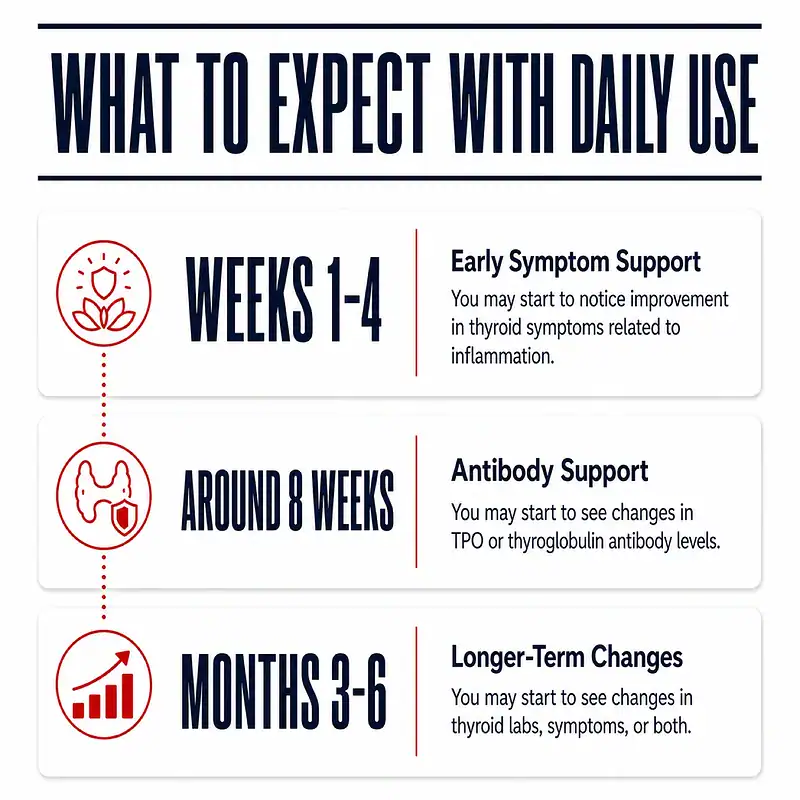 Hashimoto's Ab Rx daily-use timeline showing early symptom support, antibody support around eight weeks, and longer-term changes over three to six months.