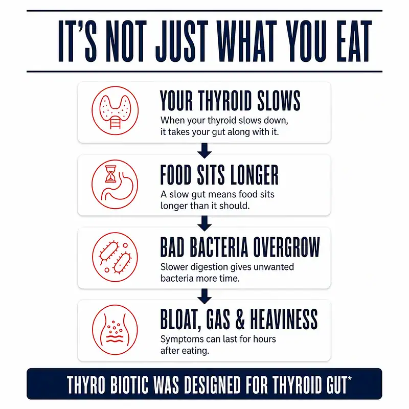Infographic explaining how a slower thyroid can slow digestion, allow unwanted bacteria to overgrow, and contribute to bloating, gas, and heaviness after eating.