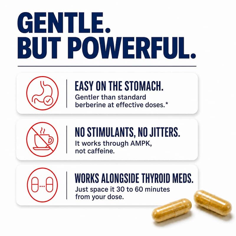 Berberine 500+ is easy on the stomach, has no stimulants and no jitters, and works alongside thyroid medication