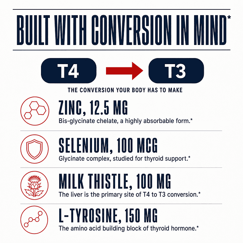 Zinc, selenium, milk thistle, and L-tyrosine in Thyroid Daily Essentials, built with the T4 to T3 conversion in mind