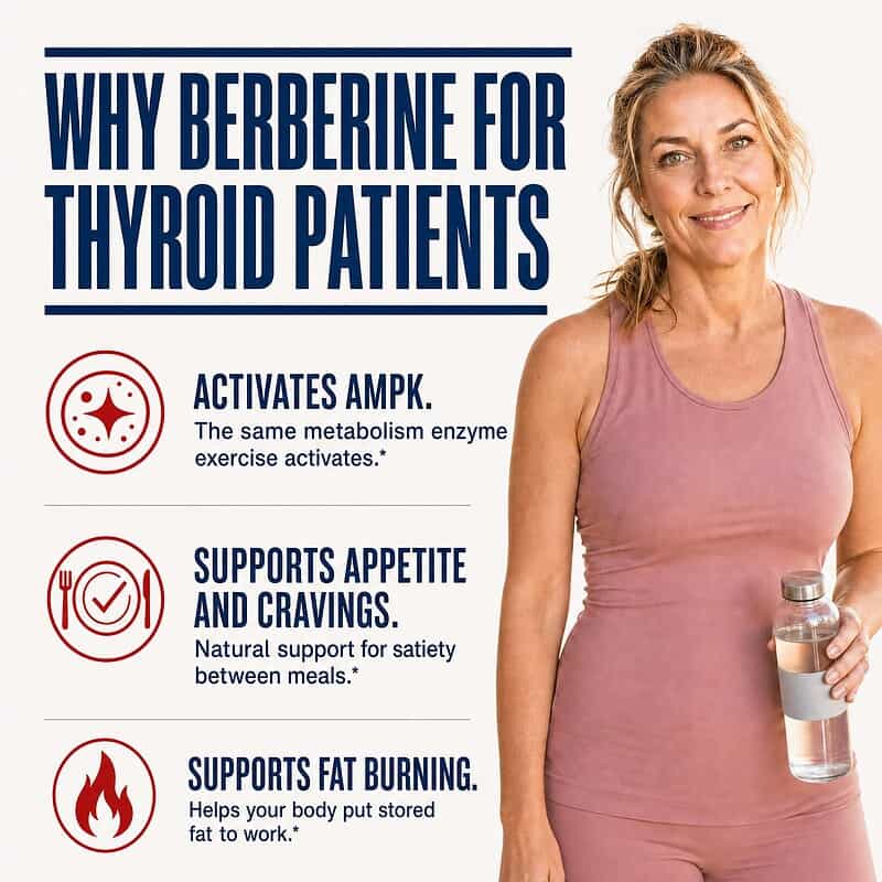 Why berberine for thyroid patients: activates AMPK, the same metabolism enzyme exercise activates, supports appetite and cravings, and supports fat burning